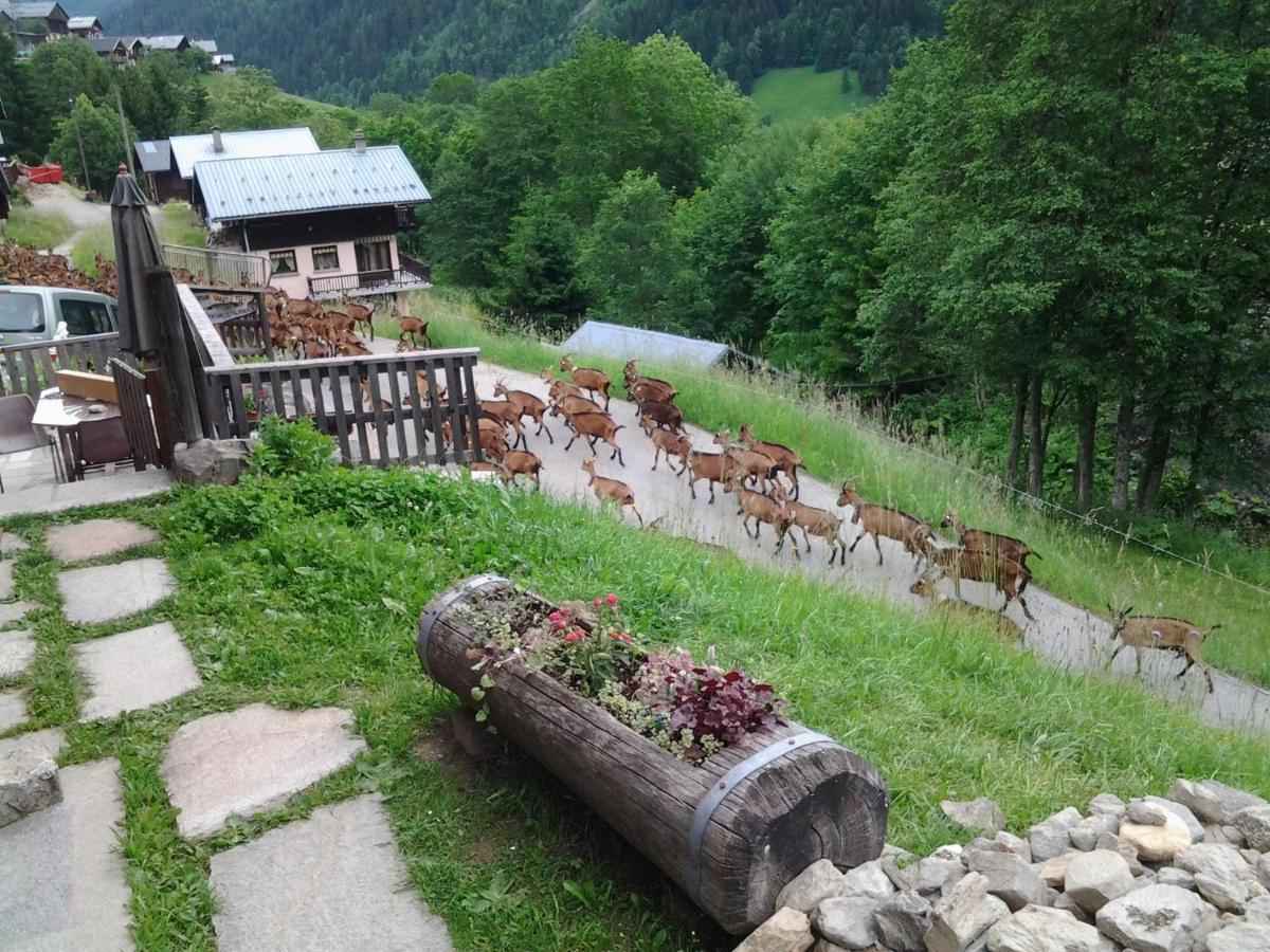Le Refuge Des Marmottes Villa Areches Luaran gambar
